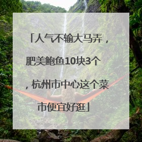 人气不输大马弄，肥美鲍鱼10块3个，杭州市中心这个菜市便宜好逛