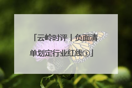 云岭时评丨负面清单划定行业红线③