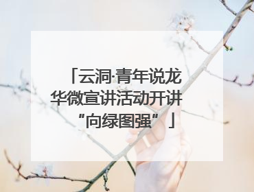 云洞·青年说龙华微宣讲活动开讲“向绿图强”