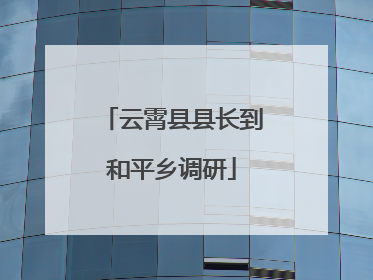 云霄县县长到和平乡调研