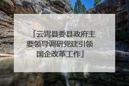 云霄县委县政府主要领导调研党建引领国企改革工作