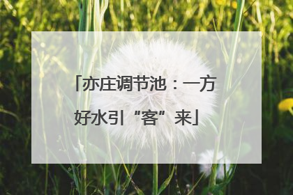 亦庄调节池：一方好水引“客”来