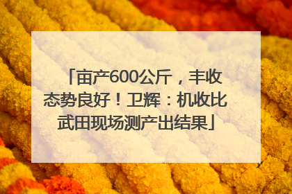 亩产600公斤，丰收态势良好！卫辉：机收比武田现场测产出结果