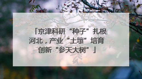 京津科研“种子”扎根河北，产业“土壤”培育创新“参天大树”
