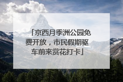京西月季洲公园免费开放，市民假期驱车前来赏花打卡