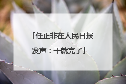 任正非在人民日报发声：干就完了