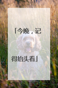今晚，记得抬头看