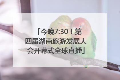 今晚7:30！第四届湖南旅游发展大会开幕式全球直播