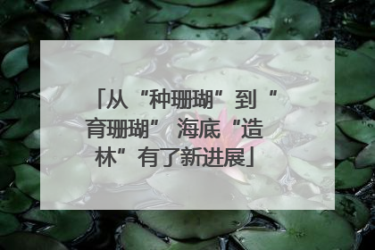 从“种珊瑚”到“育珊瑚” 海底“造林”有了新进展