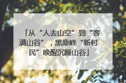 从“人去山空”到“客满山谷”，黑麋峰“新村民”唤醒沉睡山谷