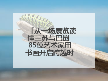 从一场展览读懂三苏与巴蜀 85位艺术家用书画开启跨越时空的文化对话