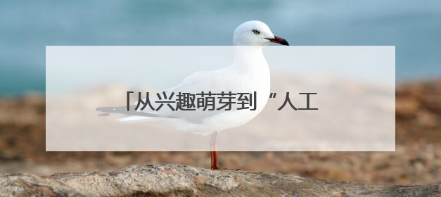 从兴趣萌芽到“人工智能基地校” 菏泽市万福实验学校点燃科技火种，赋能未来人才