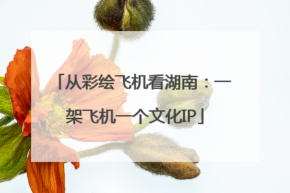 从彩绘飞机看湖南：一架飞机一个文化IP
