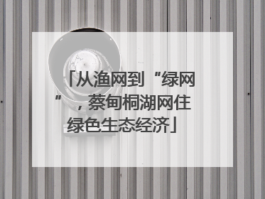 从渔网到“绿网”，蔡甸桐湖网住绿色生态经济