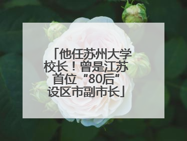 他任苏州大学校长！曾是江苏首位“80后”设区市副市长