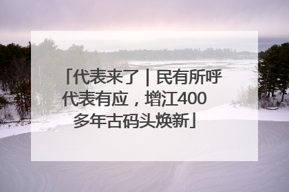 代表来了｜民有所呼代表有应，增江400多年古码头焕新