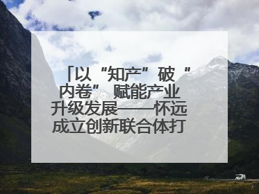 以“知产”破“内卷” 赋能产业升级发展——怀远成立创新联合体打造汽车零部件产业新高地