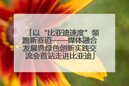 以“比亚迪速度”领跑新赛道——媒体融合发展暨绿色创新实践交流会首站走进比亚迪