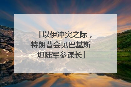 以伊冲突之际，特朗普会见巴基斯坦陆军参谋长