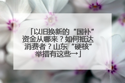 以旧换新的“国补”资金从哪来？如何抵达消费者？山东“硬核”举措有这些→