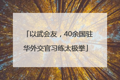 以武会友，40余国驻华外交官习练太极拳