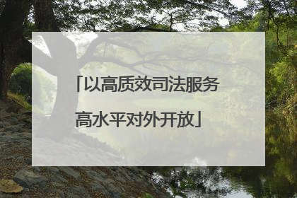 以高质效司法服务高水平对外开放