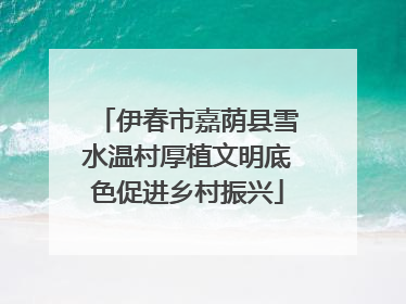 伊春市嘉荫县雪水温村厚植文明底色促进乡村振兴