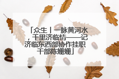 众生丨一脉黄河水，千里济临情——记济临东西部协作挂职干部陈姗姗