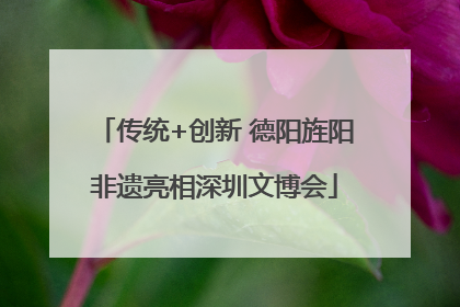 传统+创新 德阳旌阳非遗亮相深圳文博会