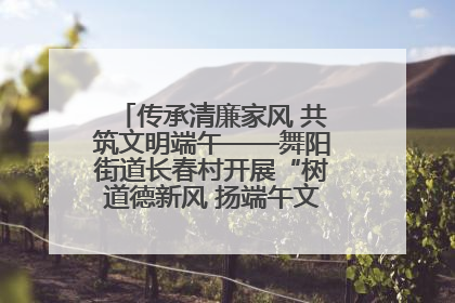 传承清廉家风 共筑文明端午——舞阳街道长春村开展“树道德新风 扬端午文化”主题活动