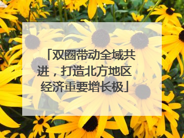 双圈带动全域共进，打造北方地区经济重要增长极