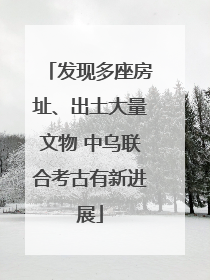 发现多座房址、出土大量文物 中乌联合考古有新进展