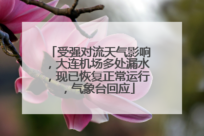 受强对流天气影响，大连机场多处漏水，现已恢复正常运行，气象台回应