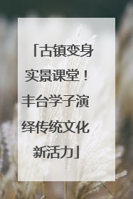 古镇变身实景课堂！丰台学子演绎传统文化新活力