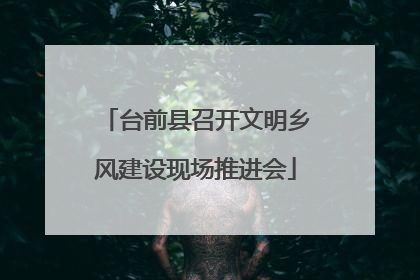 台前县召开文明乡风建设现场推进会