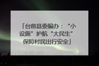 台前县委编办：“小设施”护航“大民生” 保障村民出行安全