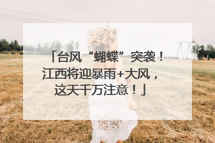 台风“蝴蝶”突袭！江西将迎暴雨+大风，这天千万注意！