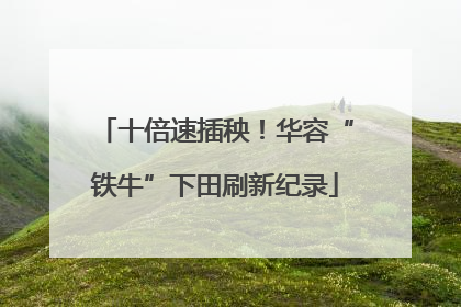 十倍速插秧！华容“铁牛”下田刷新纪录
