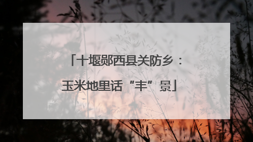十堰郧西县关防乡：玉米地里话“丰”景