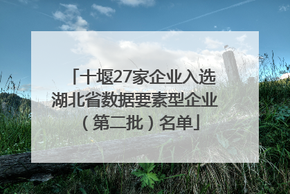 十堰27家企业入选湖北省数据要素型企业（第二批）名单