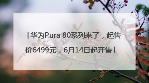 华为Pura 80系列来了，起售价6499元，6月14日起开售