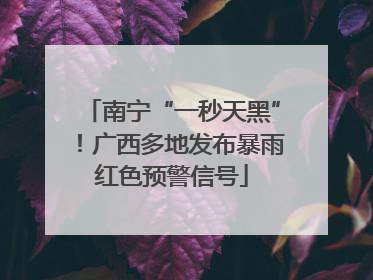 南宁“一秒天黑”！广西多地发布暴雨红色预警信号