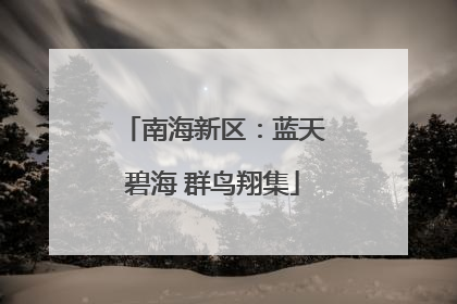 南海新区：蓝天碧海 群鸟翔集