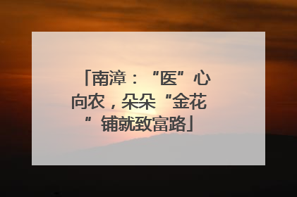 南漳：“医”心向农，朵朵“金花”铺就致富路