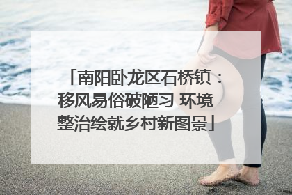 南阳卧龙区石桥镇：移风易俗破陋习 环境整治绘就乡村新图景