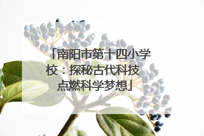 南阳市第十四小学校：探秘古代科技 点燃科学梦想