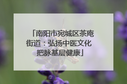 南阳市宛城区茶庵街道：弘扬中医文化 把脉基层健康