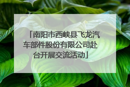 南阳市西峡县飞龙汽车部件股份有限公司赴台开展交流活动