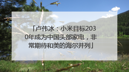 卢伟冰：小米目标2030年成为中国头部家电，非常期待和美的海尔并列