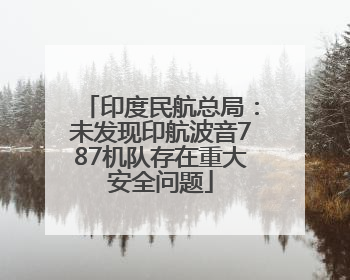 印度民航总局：未发现印航波音787机队存在重大安全问题